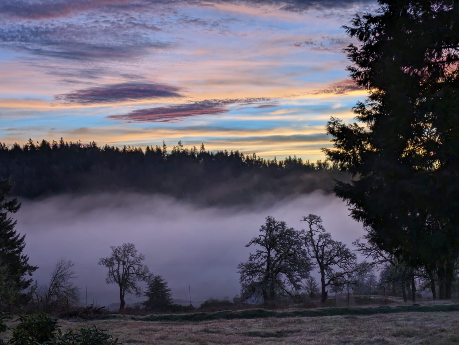 Morning mist in the Christensen Valley beneath Spencer Butte